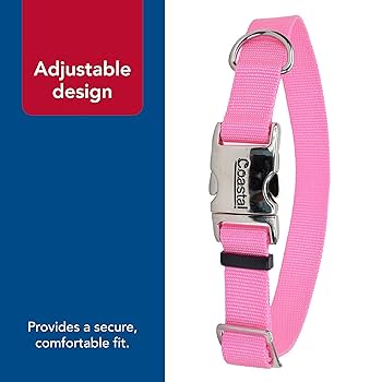 Coastal Pet Adjustable Dog Collar Neon Pink 1" x 18-26"