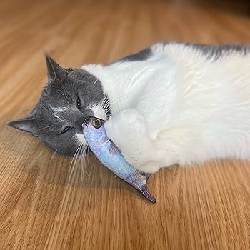 Ethical Pet Spot Gone Fishin' Cat Toy with Catnip, Assorted Colors, 6.5" Fish Catnip Toy