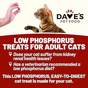 Dave's Renal Friendly Sweet Potato Cat Treats - 3 oz, Low Protein & Phosphorus