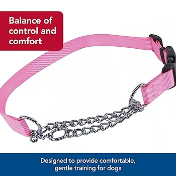 Coastal Pet Check-Choke Adjustable Dog Training Collar, Pink, 5/8" x 14"-18"
