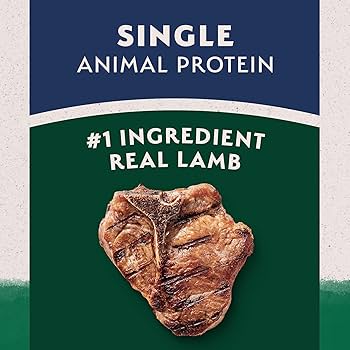 Natural Balance L.I.D. Lamb & Brown Rice Dry Dog Food - Limited Ingredient Diet, 4 lb Bag