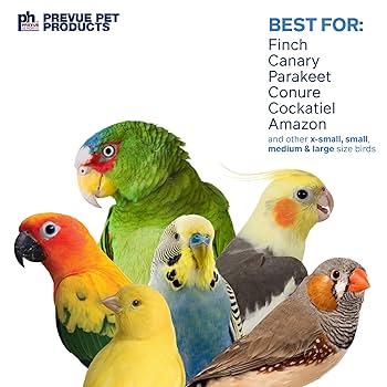 Prevue Pet Products Calypso Creations Short Stack Bird Toy