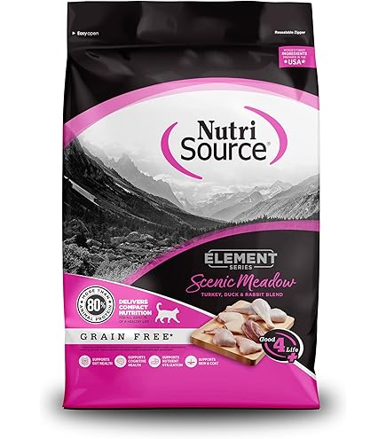 NutriSource Chicken & Rice Cat & Kitten Food - All Life Stages, 6.6 lb Bag
