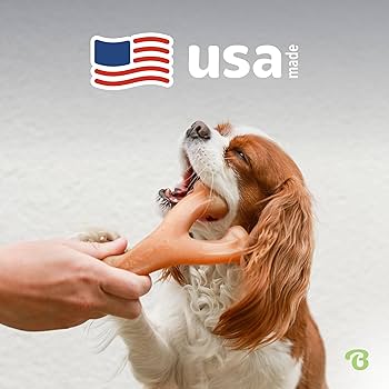Benebone Wishbone Dog Chew Toy - Peanut Butter Flavor - Medium Size