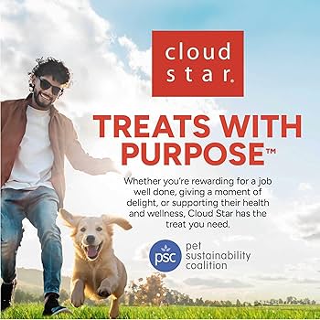 Cloud Star Wag More Bark Less Grain-Free Oven Baked Pumpkin Dog Treats, 14 oz Box