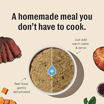 Honest Kitchen Revel Whole Grain Chicken Dehydrated Dog Food - 4 lb Box (Makes 16 lbs)