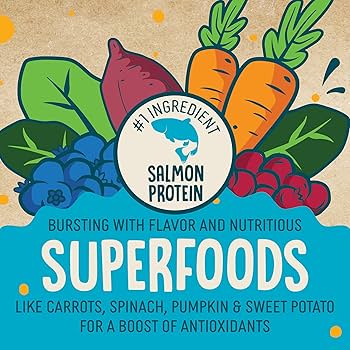 Earthborn Holistic EarthBites Salmon & Pumpkin Grain-Free Crunchy Dog Treats - 10 oz