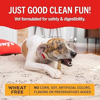 Stella & Chewy's Dental Delights Extra Small Dog Treats, 44 Count, 10.5 oz Bag