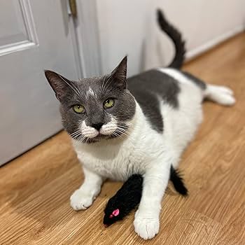 SPOT Shaggy Plush Ferret Cat Toy with Catnip & Rattle - Interactive Pet Play