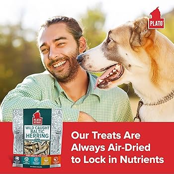 Plato Pet Treats Baltic Herring Dog Treats - 3 oz, Air-Dried, Single Ingredient, Wild Caught Fish