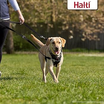 Halti Training Lead - Large - Black - Multifunctional Dog Leash
