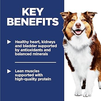 Hill's Science Diet Senior 7+ Chicken Meal, Barley & Rice Dry Dog Food, 15 lb Bag