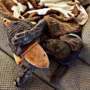 Tall Tails Dog Plush Crunch Turtle Toy - 15 Inch Snapper with Water Bottle Crunch