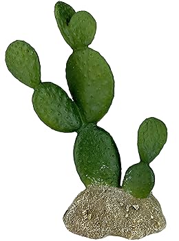 Komodo Prickly Pear Cactus Plant - 6.3 inch Reptile Terrarium Decor