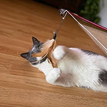 SPOT Ethical Pet Fishing Rod N' Reel Kitty Teaser Cat Toy - Interactive Wand with Feather Lure