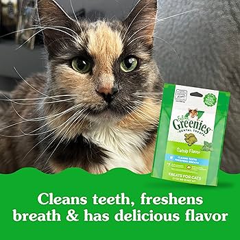 Greenies Feline Adult Dental Cat Treats, Catnip Flavor, 2.1 oz Pouch