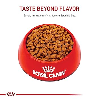 Royal Canin Feline Health Nutrition Kitten Dry Cat Food, 14 lb Bag