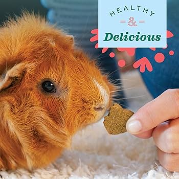Oxbow Simple Rewards Cranberry Baked Treats - Small Animal Treats (Guinea Pig, Rabbit, Chinchilla) - 3 oz Bag