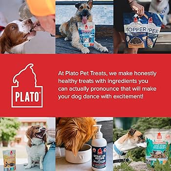 Plato Superfood Topper - Chicken, Goat Milk & Collagen for Pets - 5.5oz