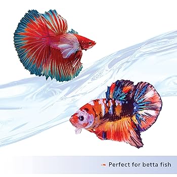Aqueon Nutrinsect Betta Pellets Fish Food, Fish-Free, 1.41 oz - Insect Based Diet for Betta Fish