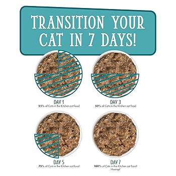 Weruva Cats in the Kitchen Funk in the Trunk - Chicken & Pumpkin Wet Cat Food