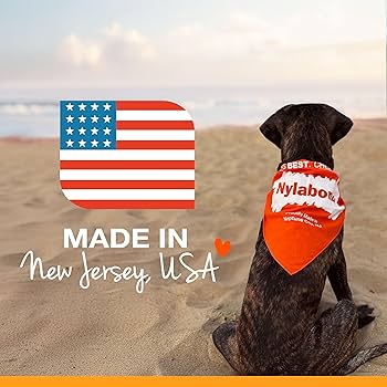 Nylabone Puppy Chew Toy - Chicken Flavor - Souper Size Bone for Teething Puppies