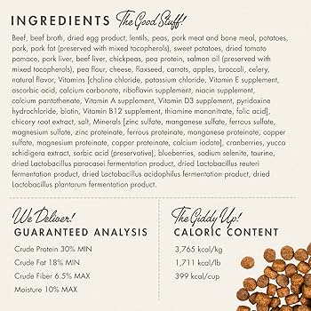 Fromm Four-Star Beef Frittata Veg Recipe Dog Food - Grain-Free, 12 lb Bag