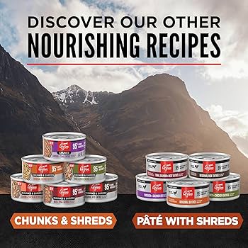 ORIJEN Pate Wet Cat Food, Original in Bone Broth, 5.5 oz Can