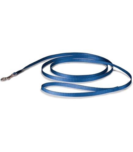 Coastal Pet Single-Ply Nylon Dog Leash, 3/8" x 4 ft, Blue
