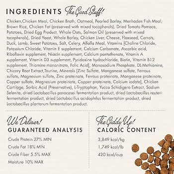 Fromm Puppy Gold Premium Dry Dog Food - Chicken Recipe - 30 lb