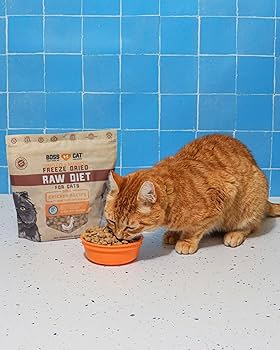 Boss Cat Freeze Dried Chicken Nuggs - Raw Cat Food, 9 oz Bag