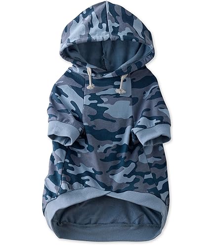 Zack & Zoey Basic Dog Hoodie, Medium, Parrot Green, 16"