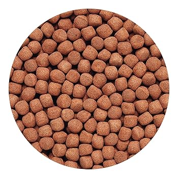 Hikari Cichlid Gold Large Pellets, 8.8 oz - Color Enhancing Fish Food