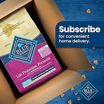 Blue Buffalo Life Protection Formula Small Breed Senior Chicken & Brown Rice Recipe Dry Dog Food - 15lb Bag