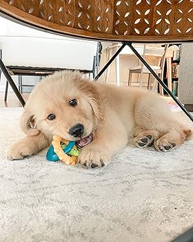 Nylabone Puppy Teething Rings - Bacon Flavor - 1 Pack (3 Rings)