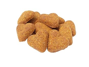 Darford Grain Free Bacon Dog Treats - 15 lb Bag - All Natural Baked Biscuits