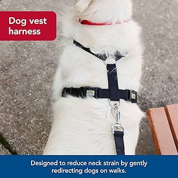 Coastal Walk Right Padded Dog Harness, Black, Large, 26-38" Girth, No-Pull Front Connect