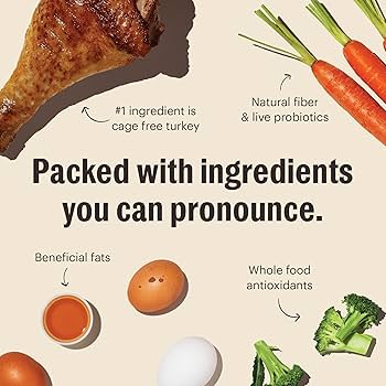 Honest Kitchen Whole Food Clusters Grain-Free Turkey Dry Dog Food, 1 lb