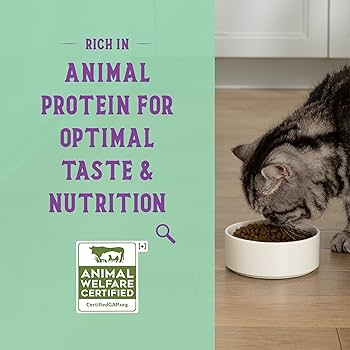 Open Farm Goodbowl Cat Food, Chicken & Brown Rice Recipe, 3 lb Bag