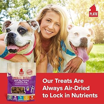 Plato Small Bites Lamb Dog Treats - Grain-Free, Air-Dried, Training Treats - 6oz Bag