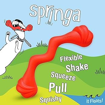 Nylabone Creative Play Springa Dog Pull Toy - Interactive, Lightweight, Floatable - Large Red