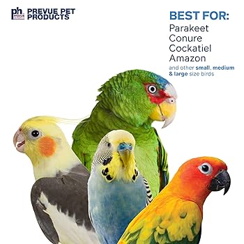 Prevue Naturals Coco Hideaway with Ladder Bird Toy