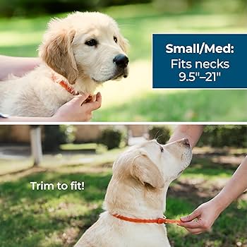 Wondercide Dog Flea & Tick Collar - Natural Essential Oils - Up to 4 Months Protection - Small/Medium - Peppermint