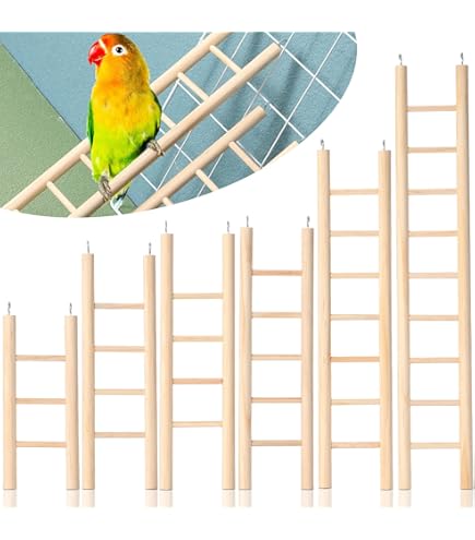 Prevue Naturals Large Rope Bird Ladder Toy - Safe & Durable Bird Cage Accessory