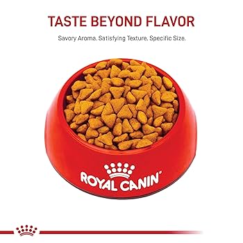 Royal Canin Indoor Adult Dry Cat Food, 15 lb Bag
