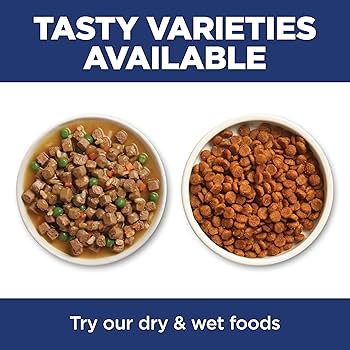 Hill's Science Diet Senior 11+ Indoor Chicken Recipe Dry Cat Food, 3.5 lb