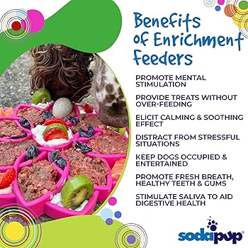 SodaPup Mandala eTray Slow Feeder - Durable Dog Enrichment Toy for Mental Stimulation & Healthy Digestion