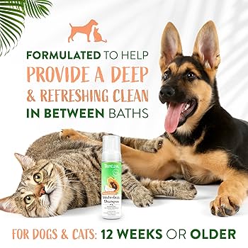 TropiClean Papaya & Coconut Waterless Dog Shampoo, 7.4 oz - No Rinse, Deodorizing