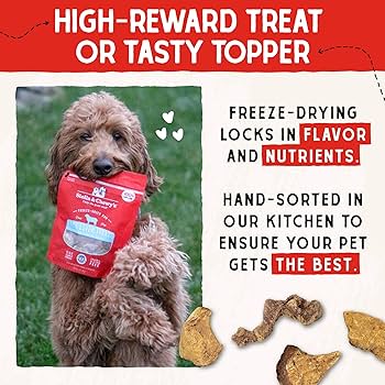 Stella & Chewy'S Dog Freeze-Dried Treat Lamb Liver 3oz