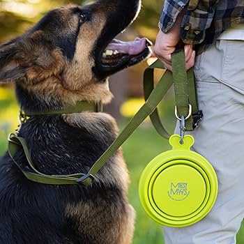 Messy Mutts Silicone Collapsible Bowl - Small 1.75 Cup, Blue - Travel Dog/Cat Water & Food Bowl
